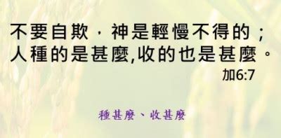 種什麼收什麼|加拉太書 6:7 不要自欺，神是輕慢不得的。人種的是什麼，收的也。